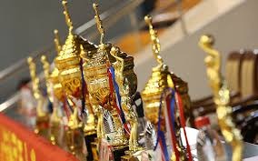 至于吗？一场普通杯赛差点干废广东2大将，粤迷：不是故意真不信